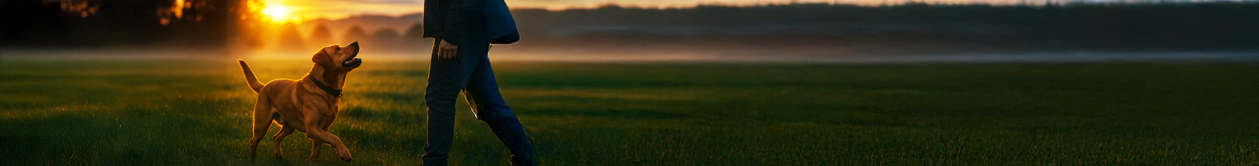 大切な想い出の写真